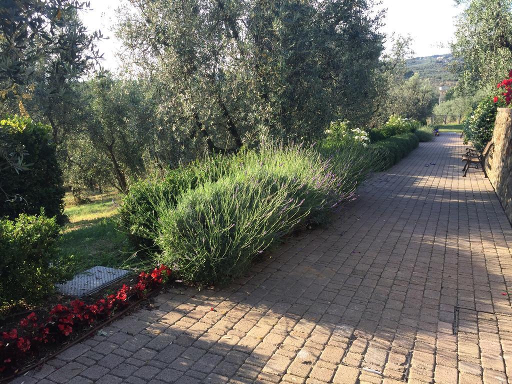 Podere Jana Antico Frantoio วินชี ภายนอก รูปภาพ