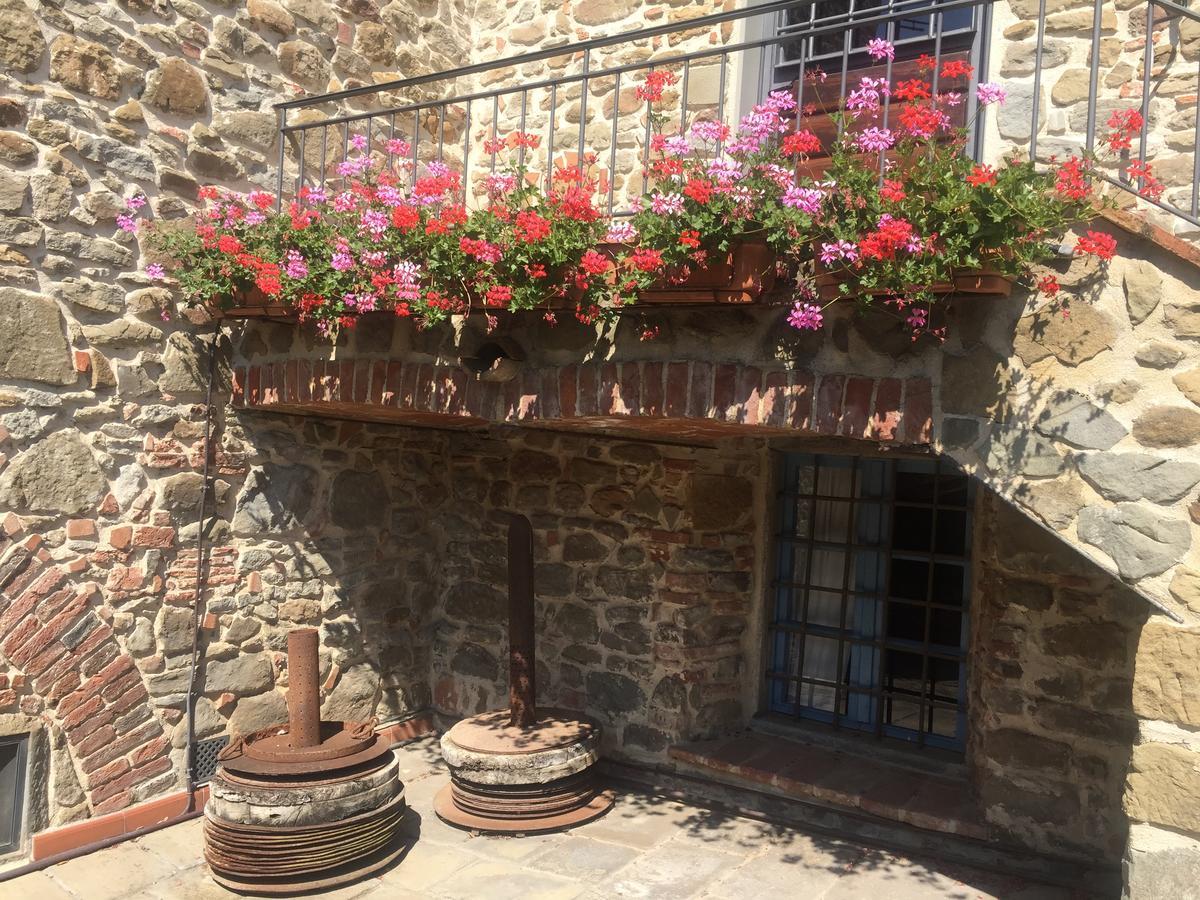 Podere Jana Antico Frantoio วินชี ภายนอก รูปภาพ
