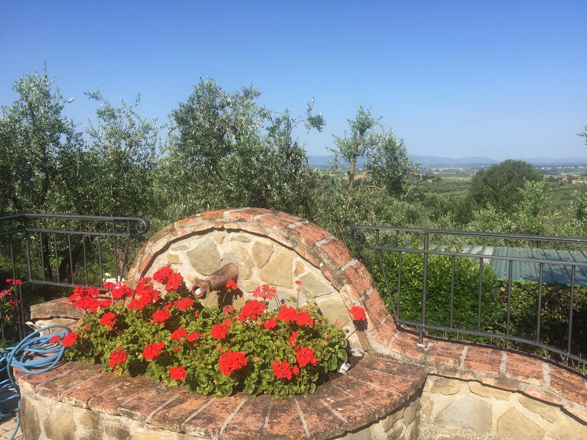 Podere Jana Antico Frantoio วินชี ภายนอก รูปภาพ