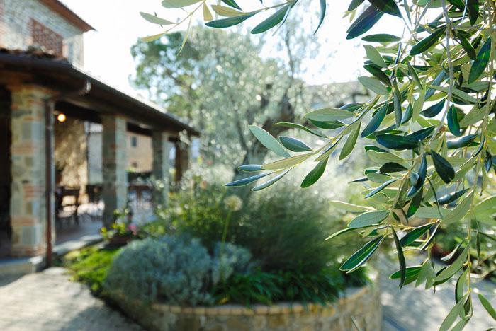 Podere Jana Antico Frantoio วินชี ภายนอก รูปภาพ