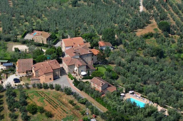 Podere Jana Antico Frantoio วินชี ภายนอก รูปภาพ